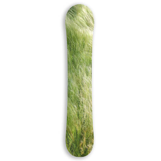 Grass