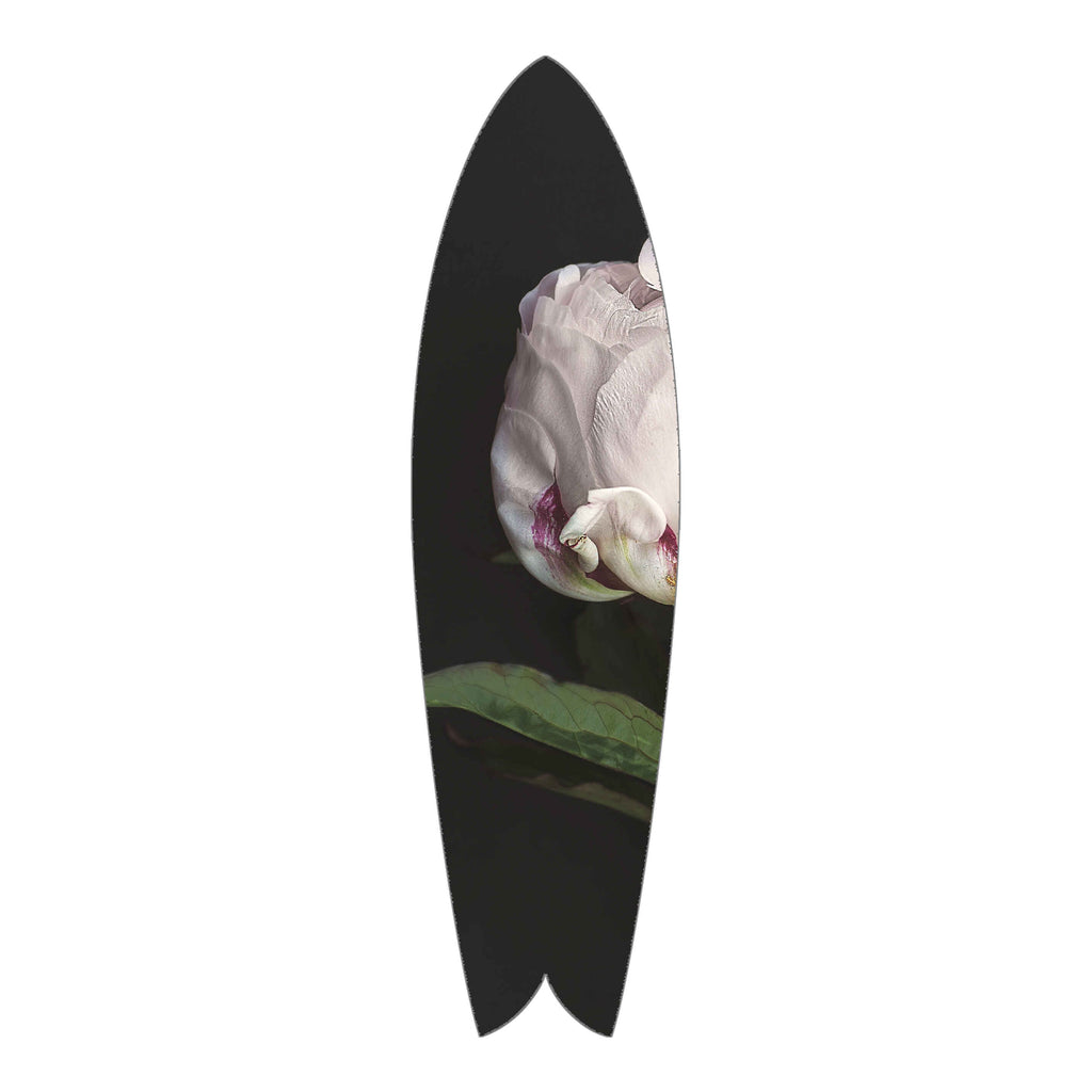 Flower 2 Retro Fish