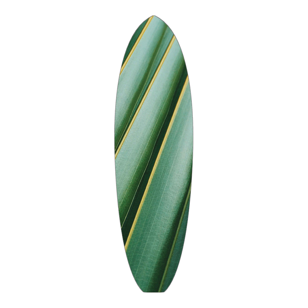 Plant 3 Retro Single Fin