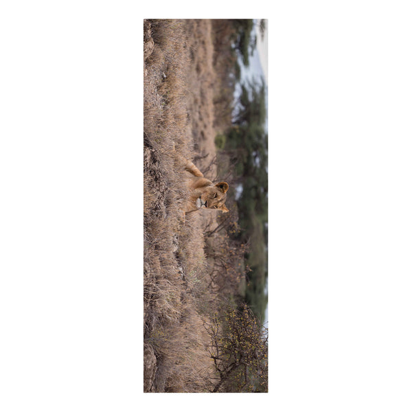 Lion in Grass Yoga Mat